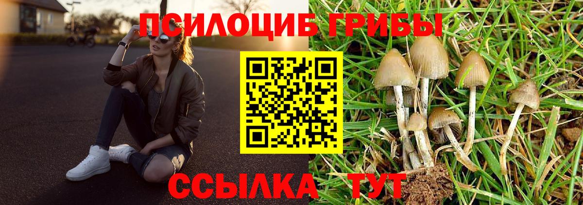 Псилоцибиновые грибы Psilocybine cubensis Новый Уренгой