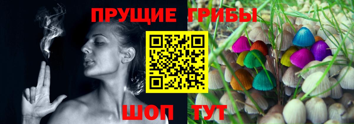 Новый Уренгой  Псилоцибиновые грибы мицелий  как найти наркотики  Вход с VPN 